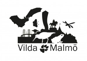 Malmö stad - Vilda Malmö