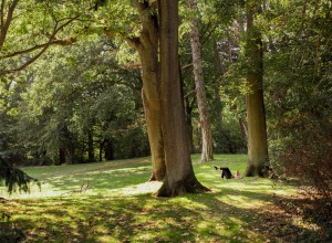 trdvandringislotts-ochkungsparken