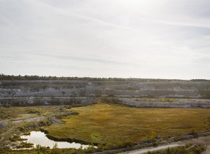 leta-fossil-vid-limhamns-kalkbrott-for