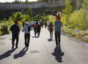 barnturilimhamnskalkbrott-letafossil