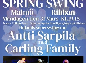 spring-swing-4